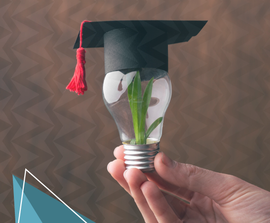 Education & Human Capital Development