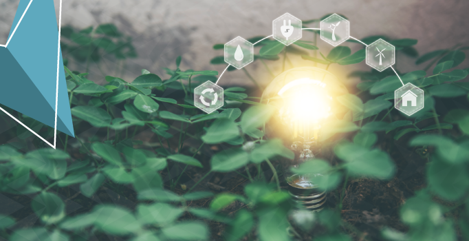 Inclusive Growth & Innovation Ecosystems